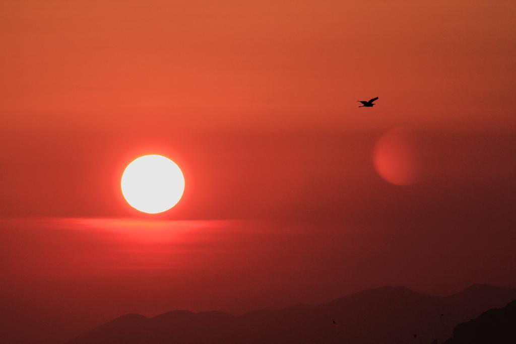 Abita Appartamenti Trapani Bagian luar foto