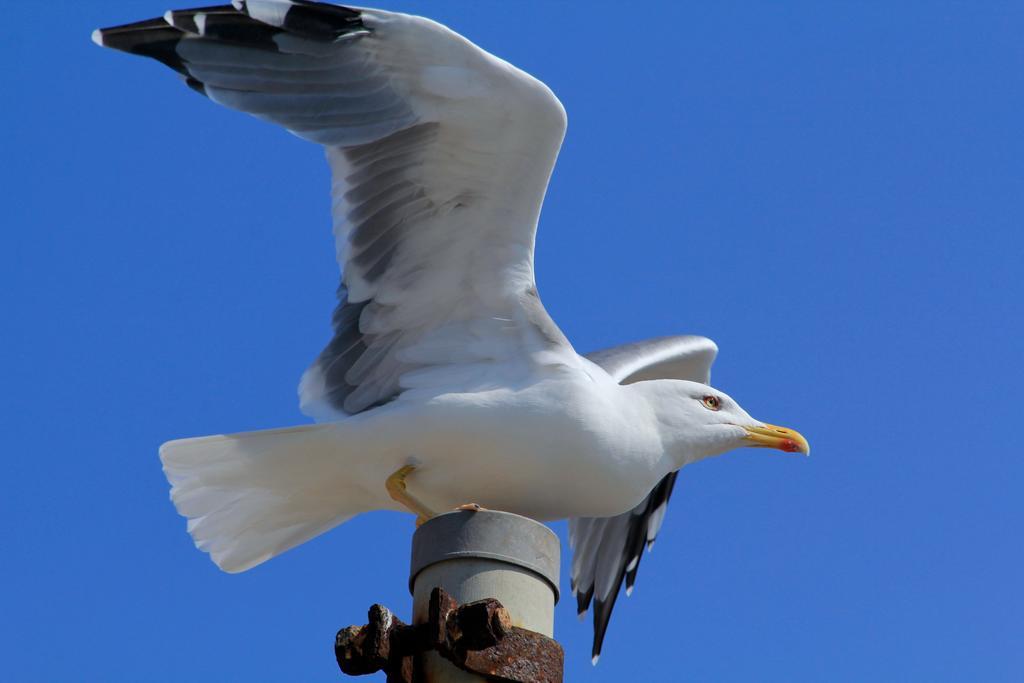 Abita Appartamenti Trapani Bagian luar foto